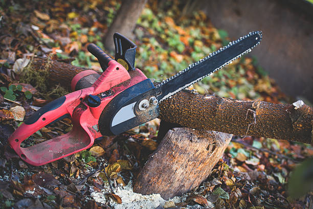 Best Root Management and Removal  in Gman, IL